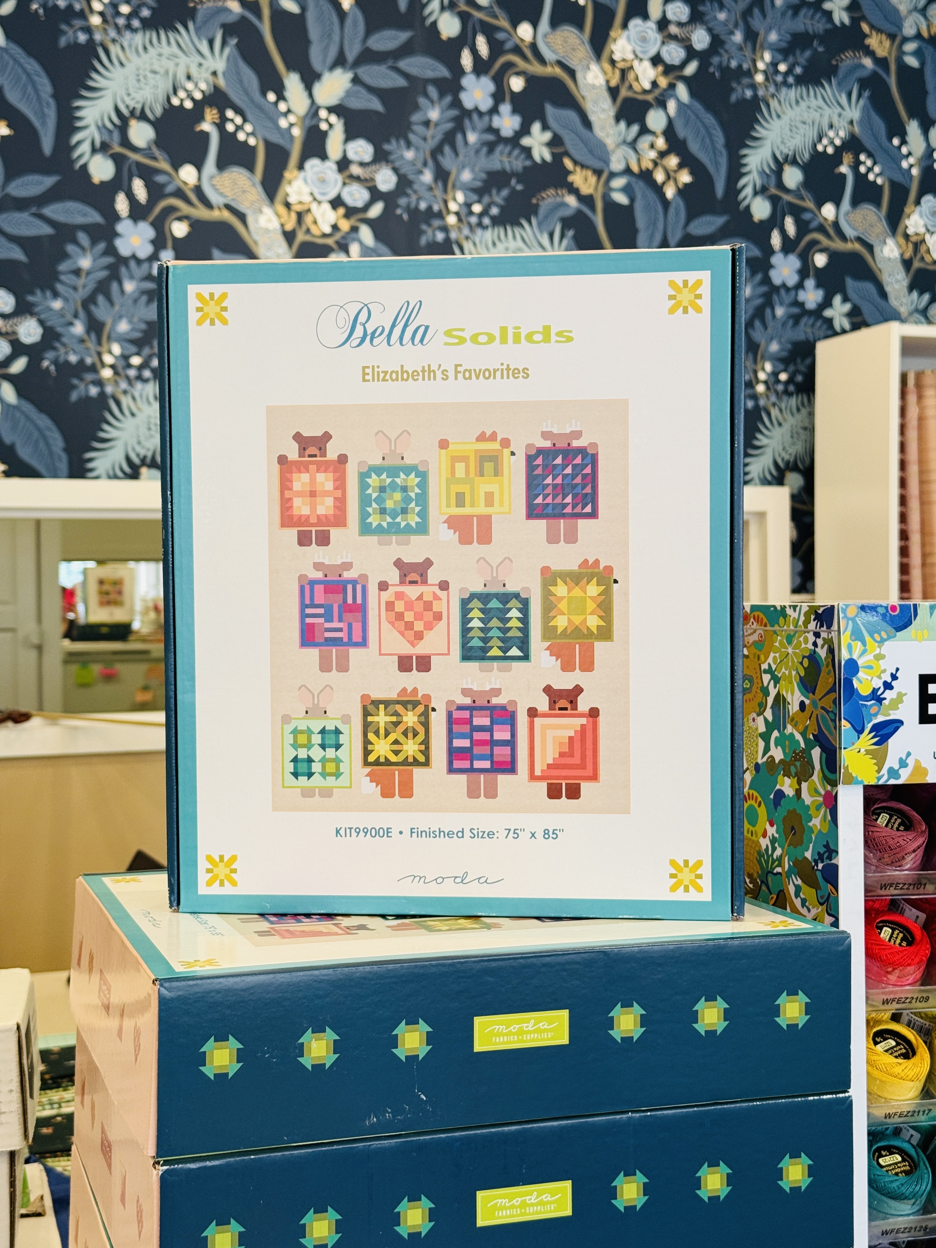 Show and Tell Boxed Kit