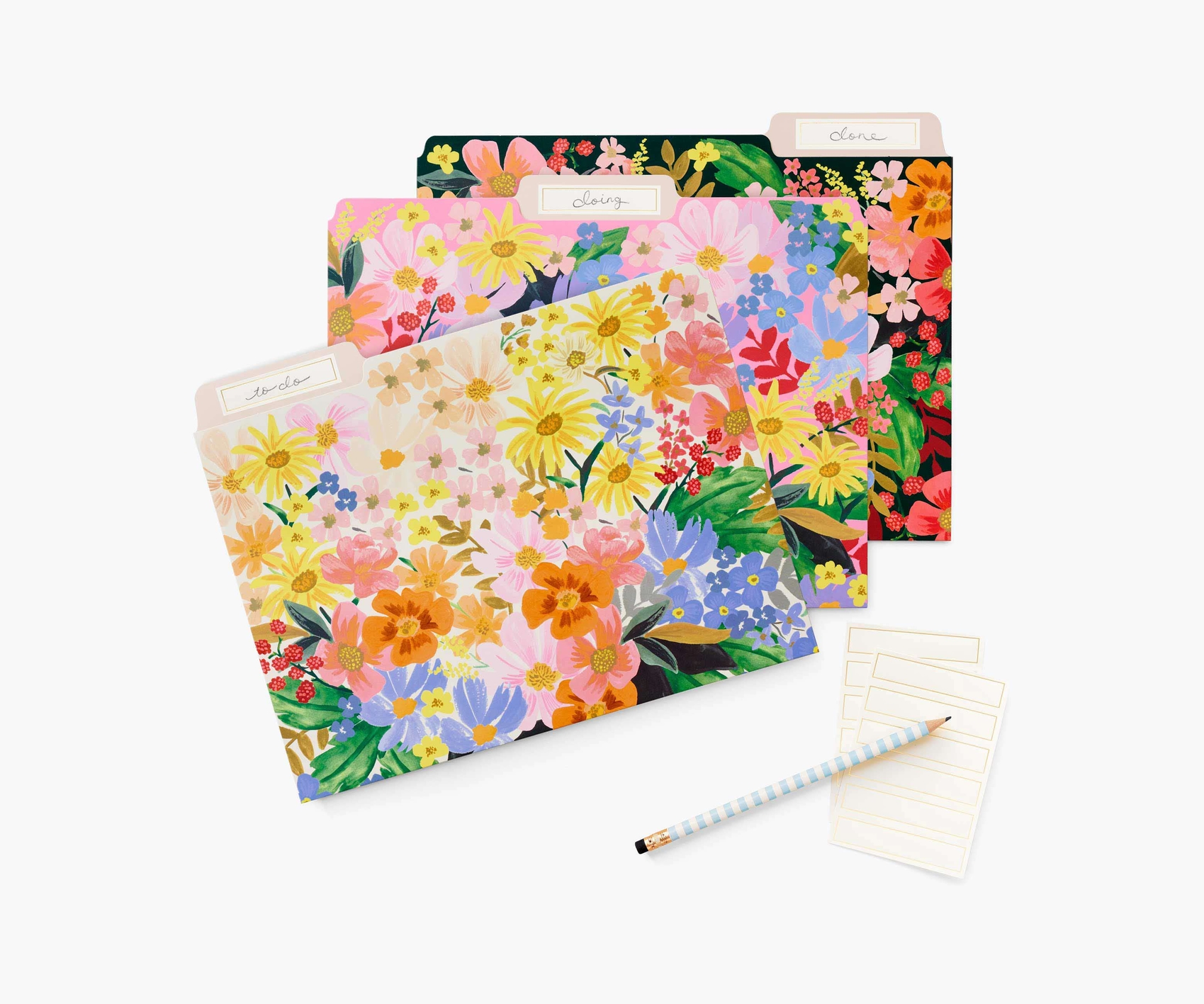 RIFLE PAPER CO Strawberry Fields Assorted File Folders