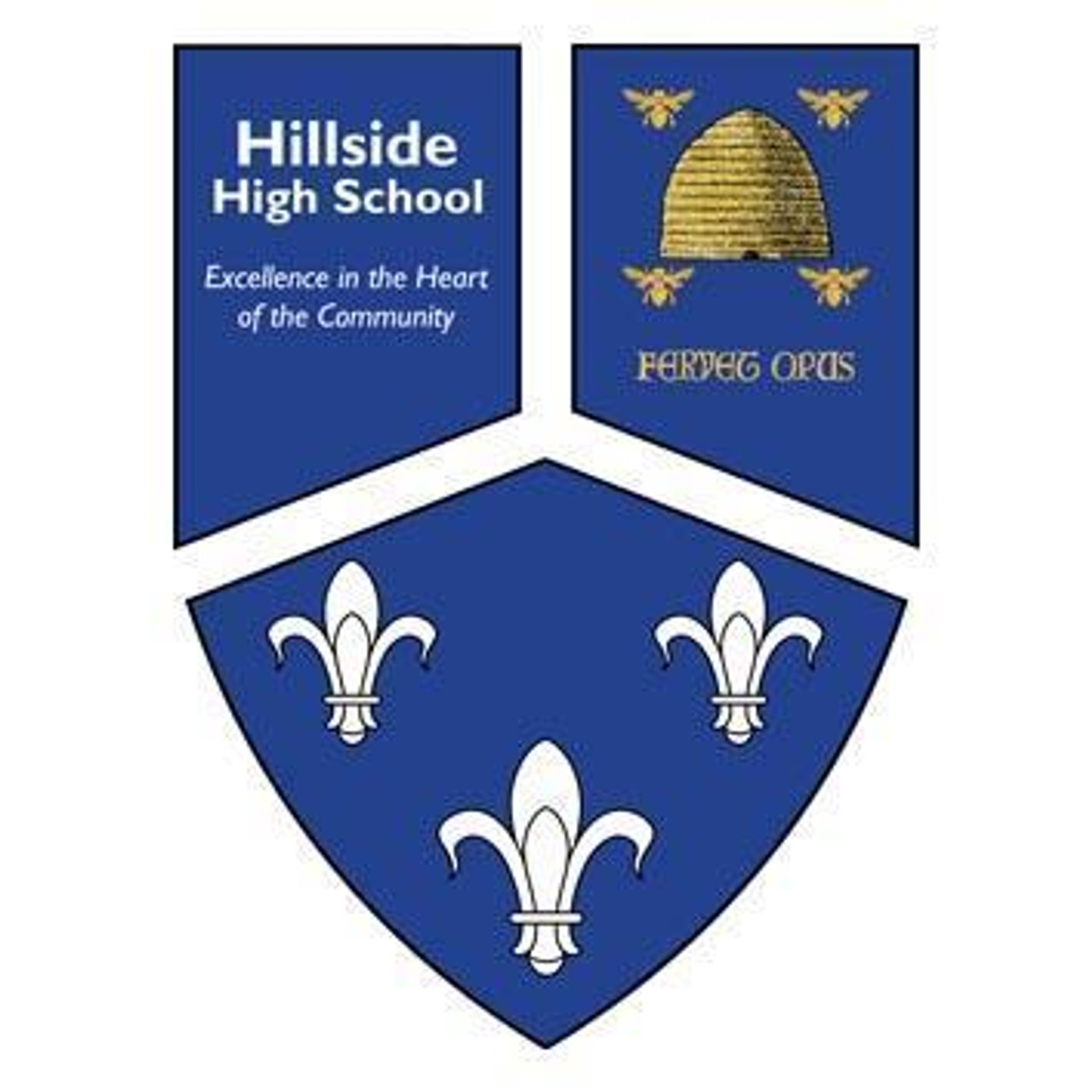 Hillside High School