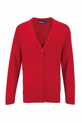 Sacred Heart Catholic Primary School - Cardigan