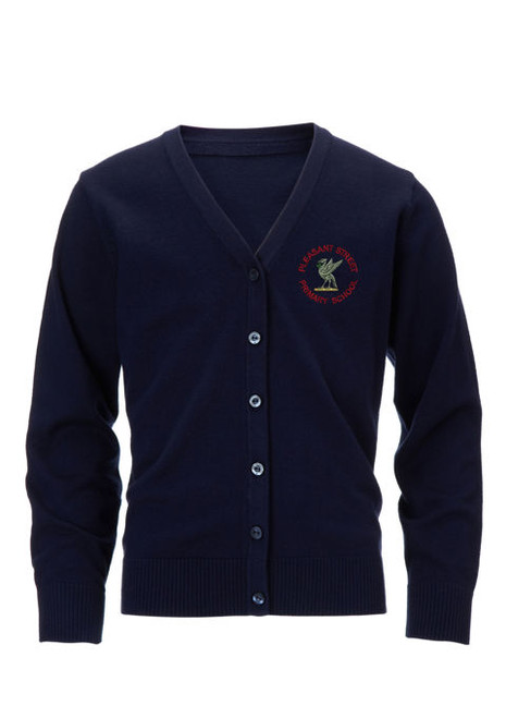 Pleasant Street Primary School - Cardigan