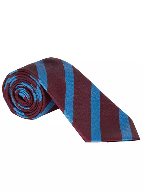 St Francis Xavier's College - Tie