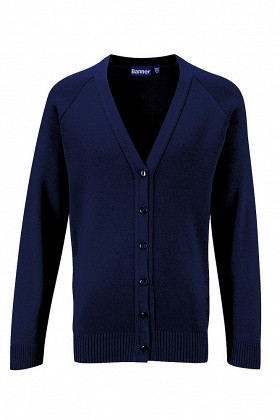 St Michael's R C Primary School - Cardigan