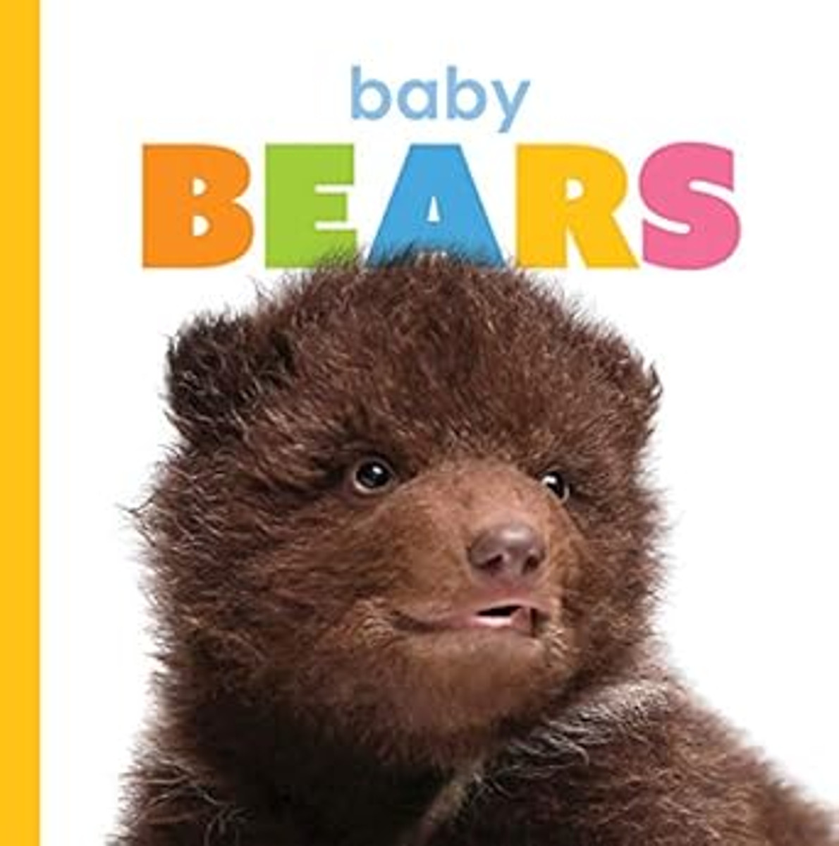 Baby Bears Book Baby Bears Book