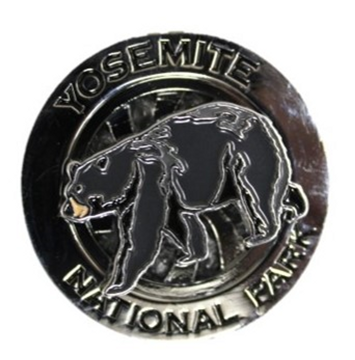 Swivel Black Bear Magnet