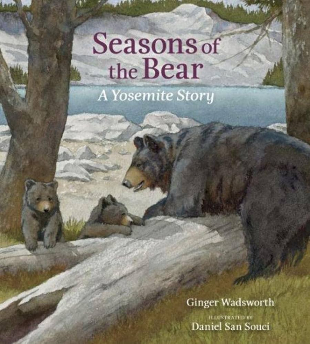 Book Seasons Of The Bear Book Seasons Of The Bear