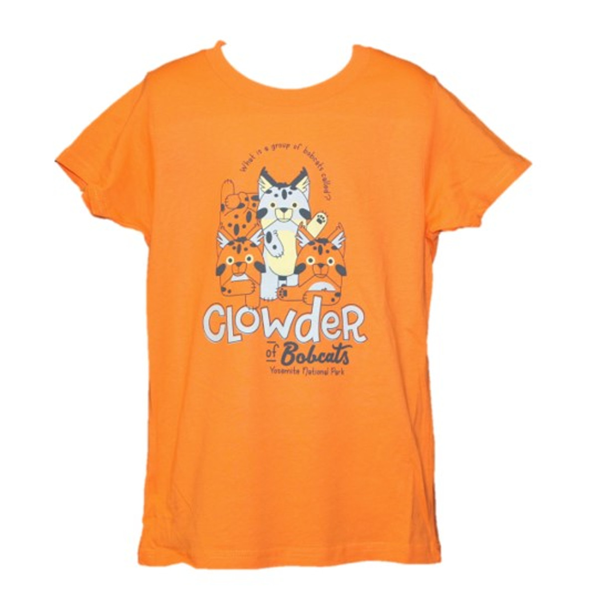 Youth Yosemite Clowder Of Bobcats Tee