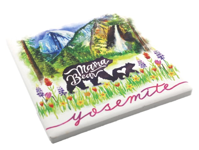 Mama Bear Yosemite Coaster