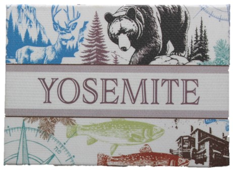 Diora Yosemite Icons Magnet