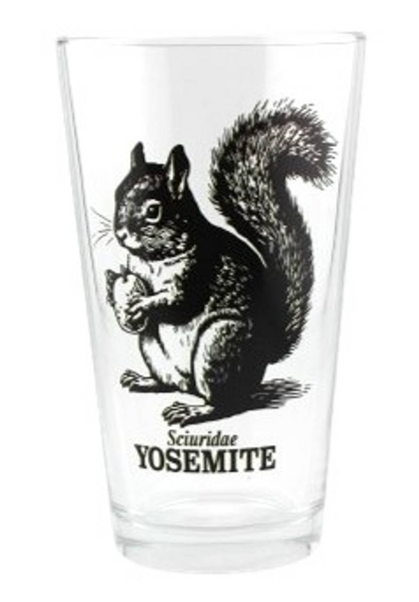 Squirrel Sketch Yosemite Pint Glass