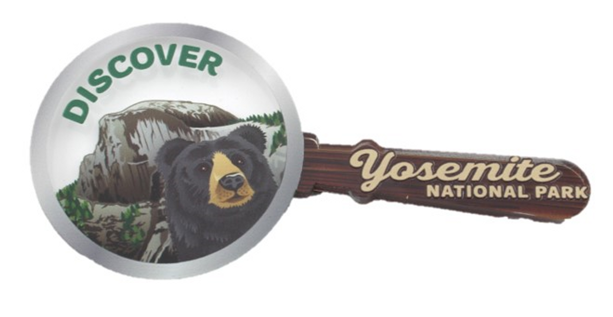 Magnifying Glass Half Dome Bear Magnet