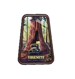 Sequoia Tunnel Tree Sticker