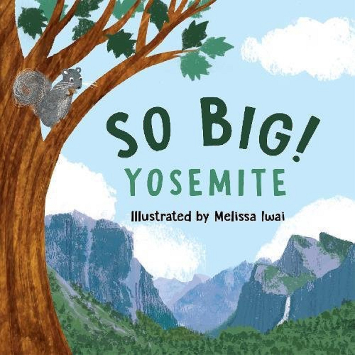So Big! Book So Big! Book