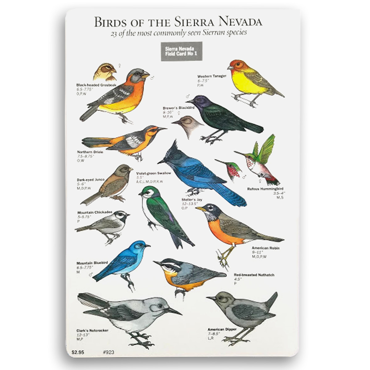 Field Card - Birds Field Card - Birds
