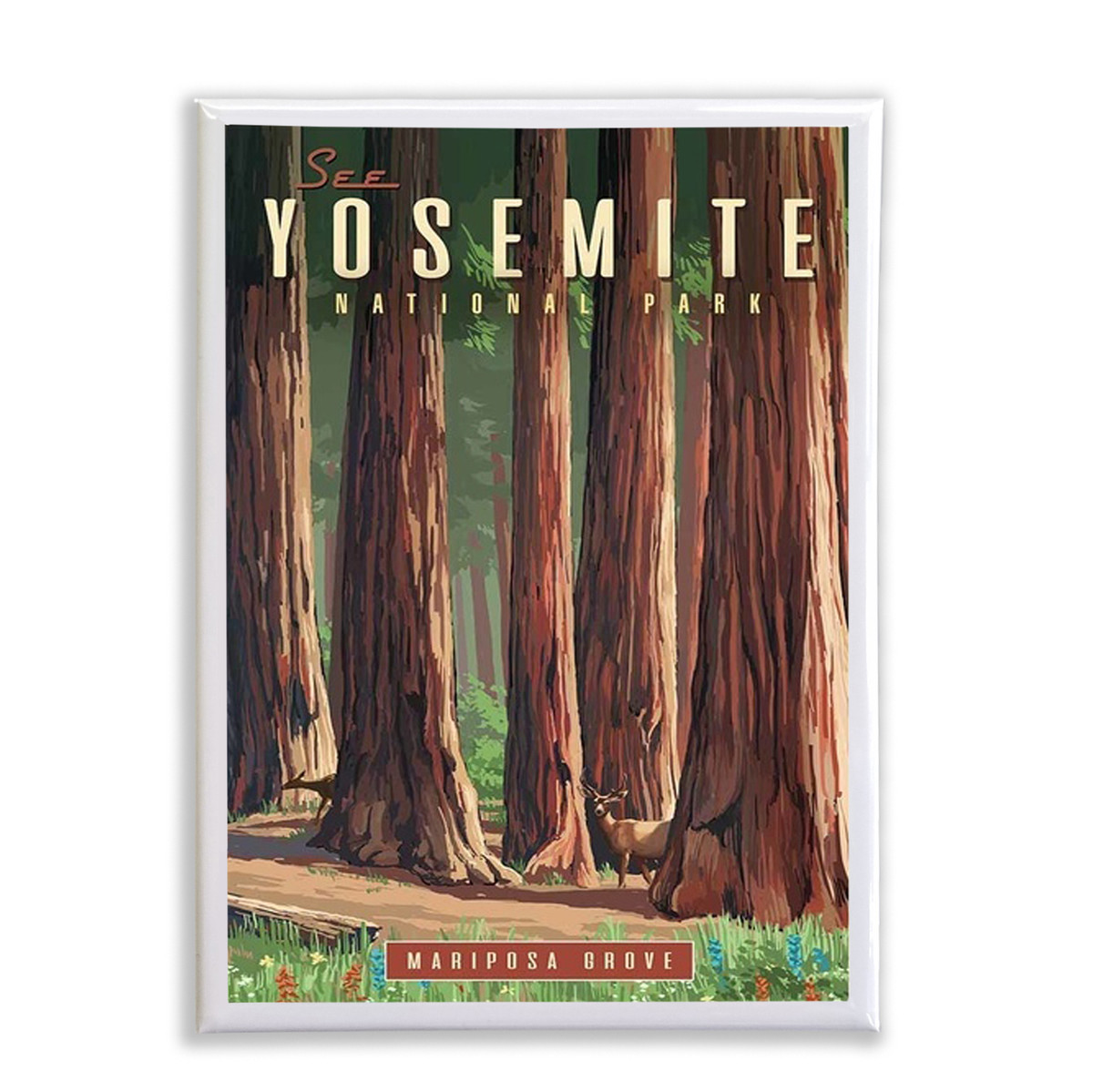Mariposa Grove Magnet