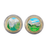 Coin - Colored Yosemite Falls and Tunnel View