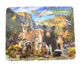 3-D Wild Life Collage Magnet