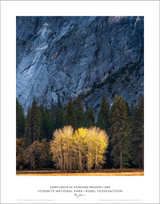 Aspen Grove of Ahwahnee Meadow Special Edition Print