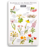 Field Card - Wildflowers