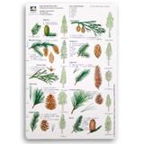 Field Card - Trees