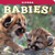 Sierra Babies Book
