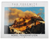 Yosemite 2027 Wall Calendar Robel Fessehatzion