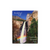 Bridalveil Fall Magnet