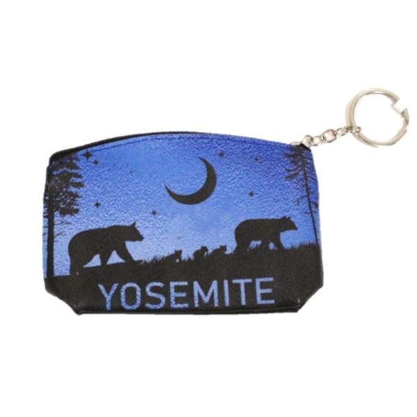 Metallic Sky Coin Purse