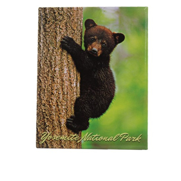 Bear Cub Climbing Tree Magnet