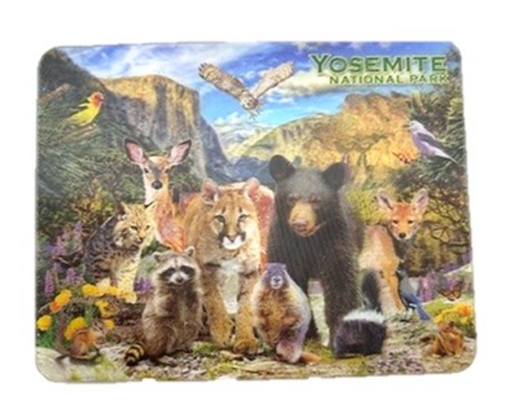 3-D Wild Life Collage Magnet