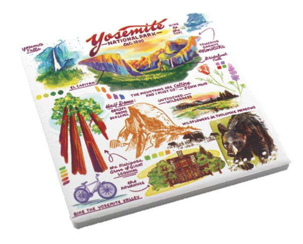 Yosemite Storytelling Coaster