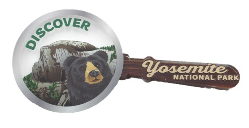 Magnifying Glass Half Dome Bear Magnet