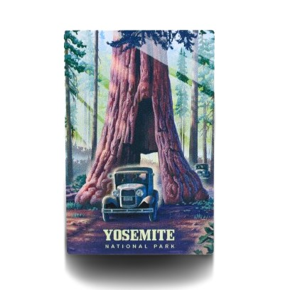 Sequoia Tunnel Tree Metal Magnet