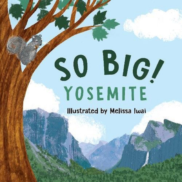 So Big! Yosemite Book
