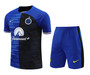 Inter Milan 23/24 Men's Blue Training Shirt
