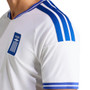 Greece 2026 Stadium Men's Home Shirt