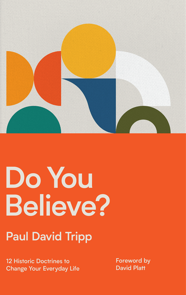 Do You Believe? eBook