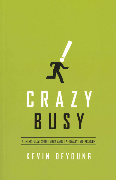Crazy Busy eBook