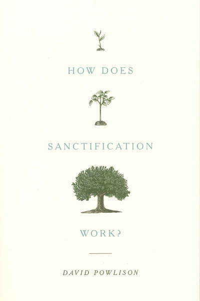 How Does Sanctification Work?