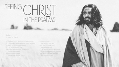 Seeing Christ in the Psalms MP3 series