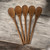 18" BEECHWOOD WOODEN SPOONS for Restaurants