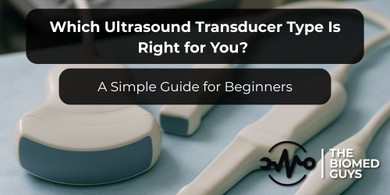 Which Ultrasound Transducer Type Is Right for You? A Simple Guide for Beginners