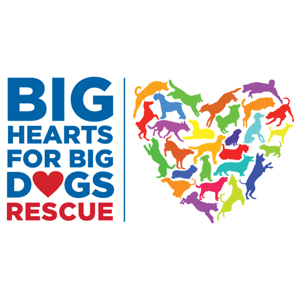 Big Hearts Big Dogs Rescue