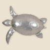 Outdoor Small Sea Turtle (Alternate View)