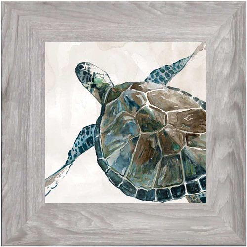 Neutral Sea Turtle II by Carol Robinson - Framed Art