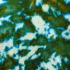 Grateful Dyes Carina Nebula (Ice) 