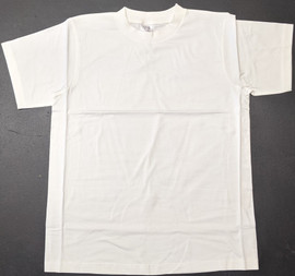  Shop Soiled Dancing Robin Large Shirt - Grade A  