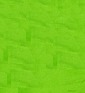 Grateful Dyes Bright Green #46 