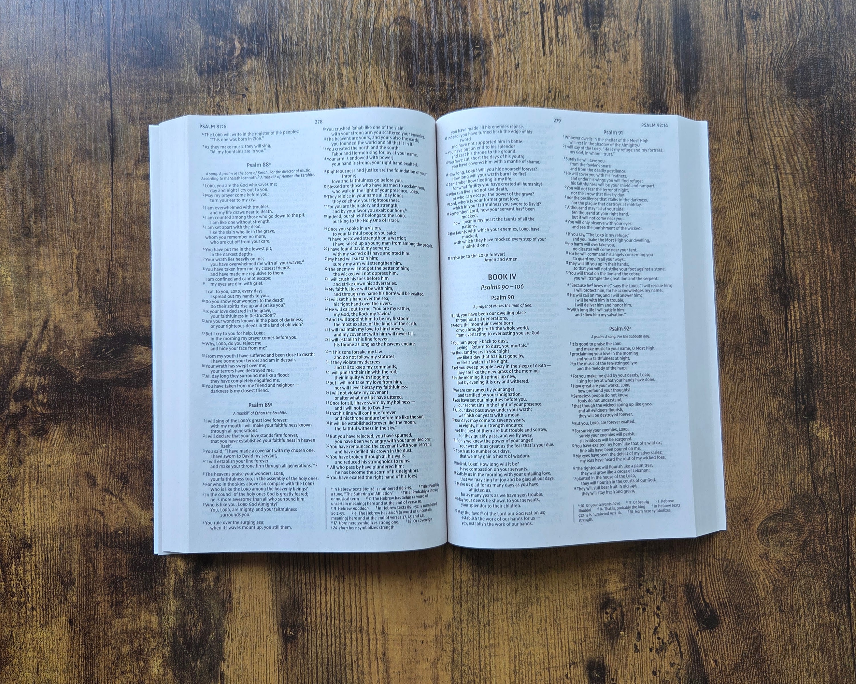 NIV Holy Bible