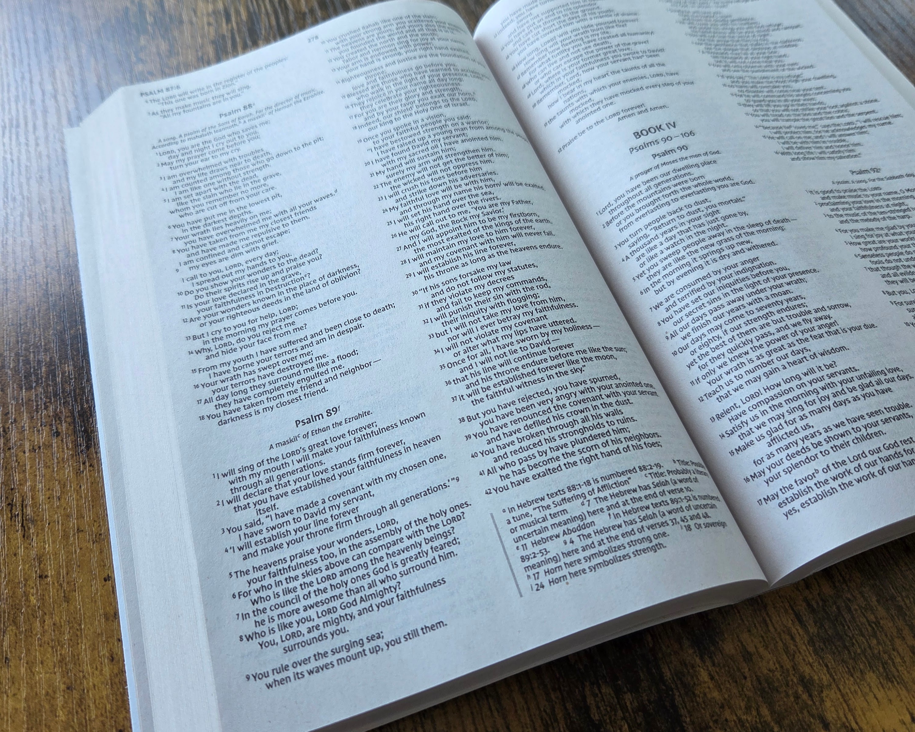 NIV Holy Bible